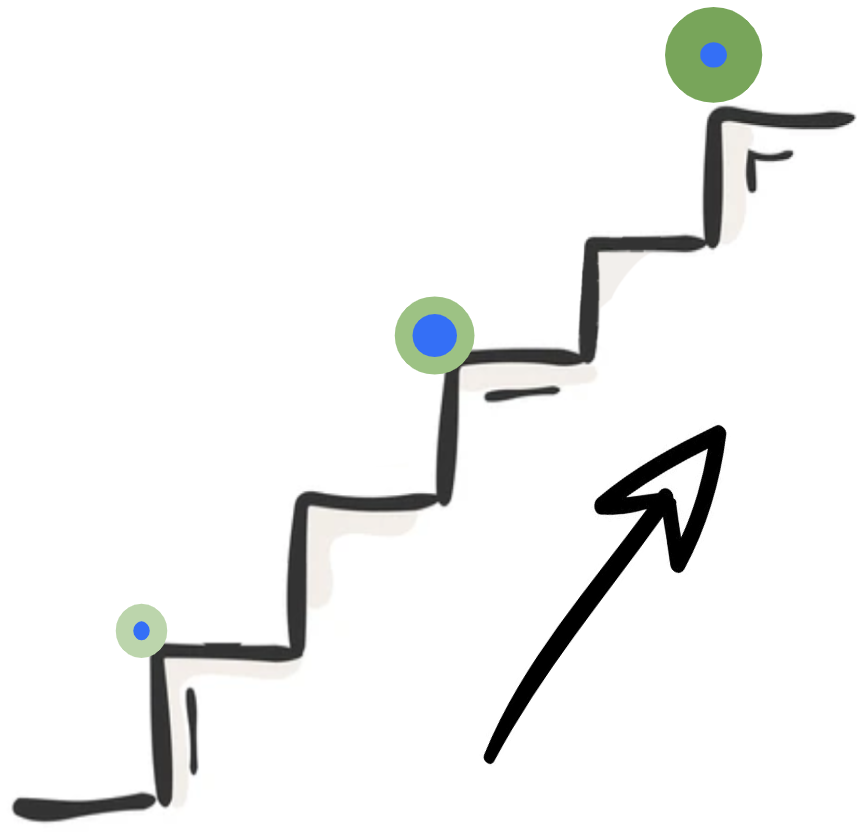 steps of the program