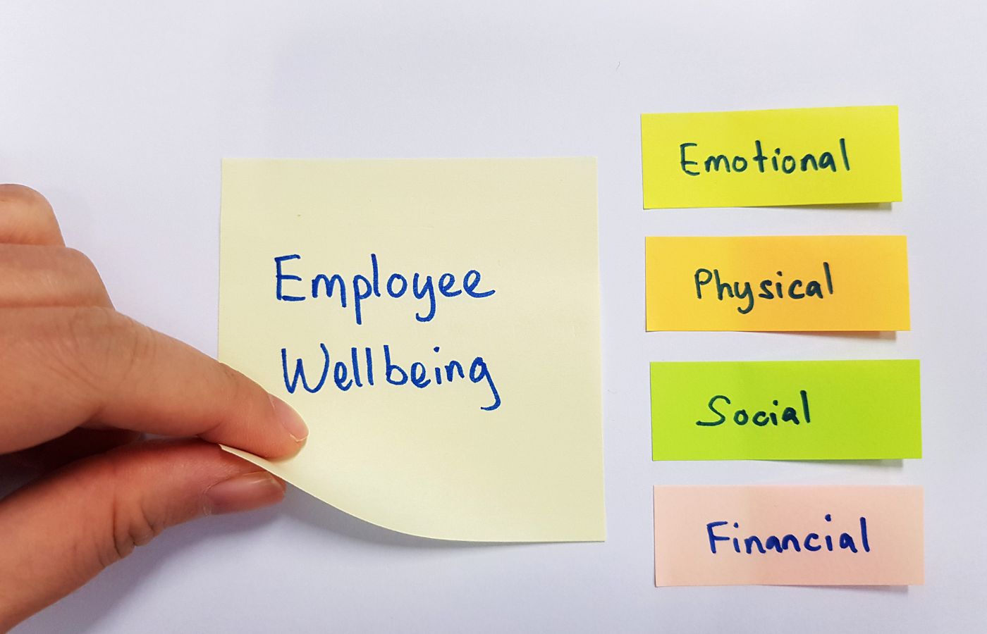 50 Employee Wellness Programs Examples For 2024