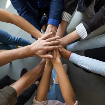 A lot of hands from employees gathered together